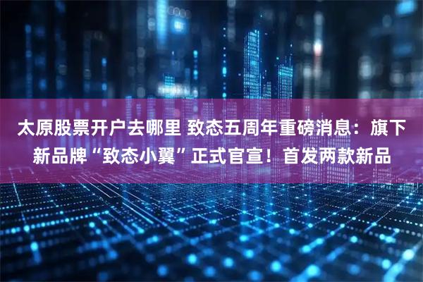 太原股票开户去哪里 致态五周年重磅消息：旗下新品牌“致态小翼”正式官宣！首发两款新品