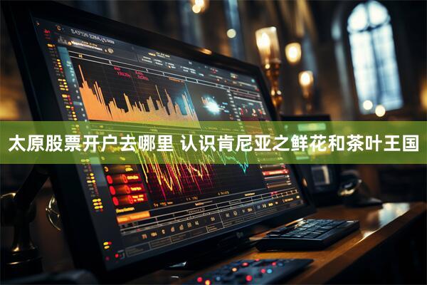 太原股票开户去哪里 认识肯尼亚之鲜花和茶叶王国