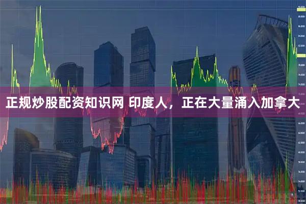 正规炒股配资知识网 印度人，正在大量涌入加拿大