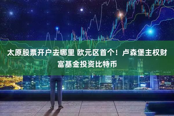 太原股票开户去哪里 欧元区首个！卢森堡主权财富基金投资比特币