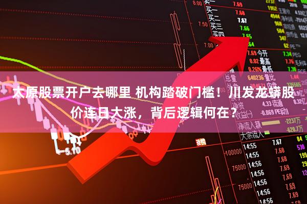 太原股票开户去哪里 机构踏破门槛！川发龙蟒股价连日大涨，背后逻辑何在？