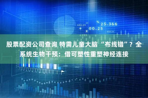 股票配资公司查询 特需儿童大脑 “布线错”？全系统生物干预：借可塑性重塑神经连接