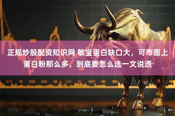 正规炒股配资知识网 敏宝蛋白缺口大，可市面上蛋白粉那么多，到底要怎么选一文说透