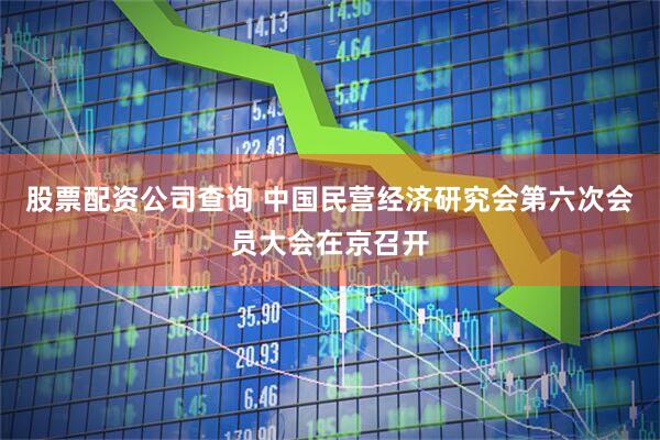 股票配资公司查询 中国民营经济研究会第六次会员大会在京召开