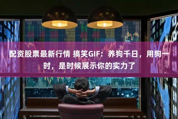 配资股票最新行情 搞笑GIF：养狗千日，用狗一时，是时候展示你的实力了