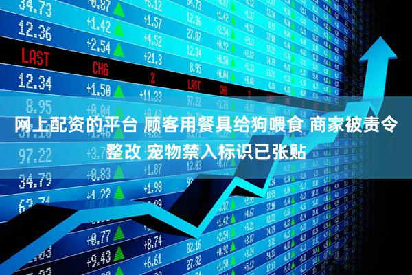 网上配资的平台 顾客用餐具给狗喂食 商家被责令整改 宠物禁入标识已张贴