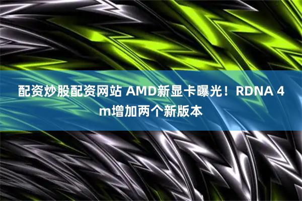 配资炒股配资网站 AMD新显卡曝光！RDNA 4m增加两个新版本